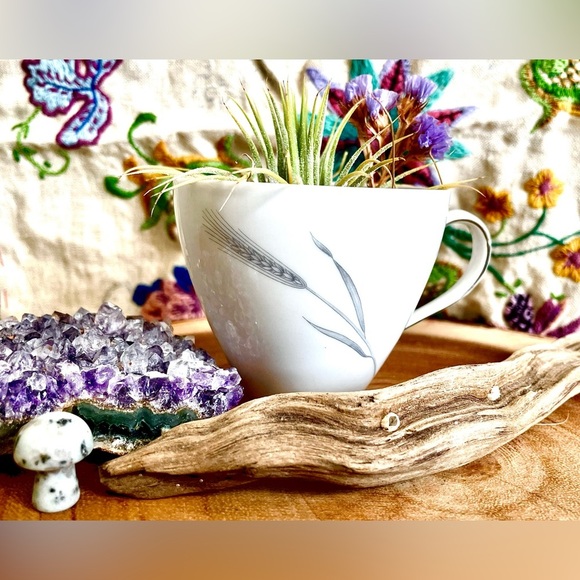 Vintage Johann Haviland Porcelain Tea Cups Bavaria Germany Wheat Pattern - 3 Set - Picture 9 of 11